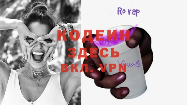 дмт Няндома